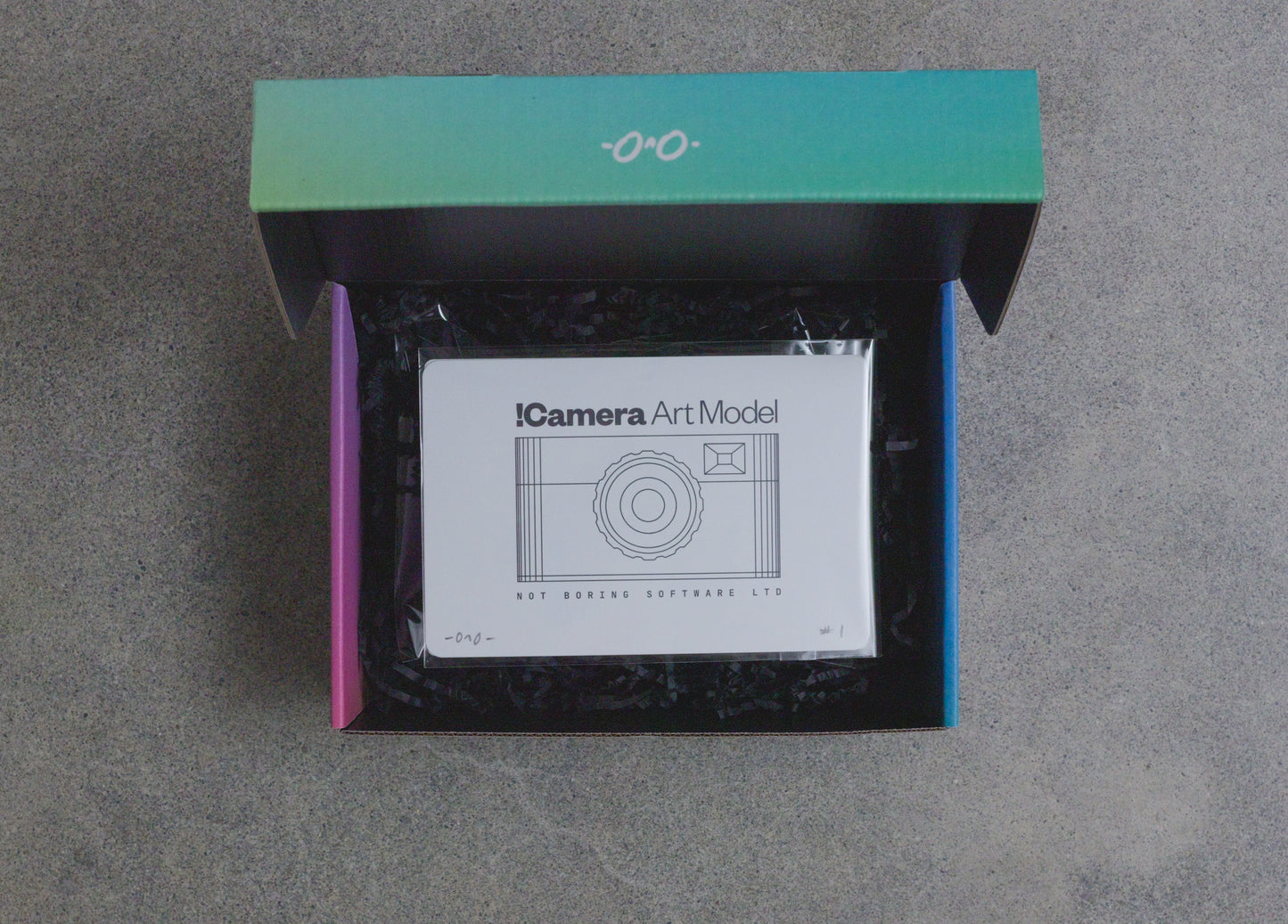 !Camera Collectible Art Model